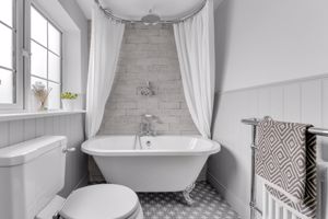 Photo 51- click for photo gallery